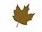 brownleaf.jpg (1202 bytes)