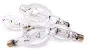 Metal Halide